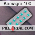 Kamagra 100 28